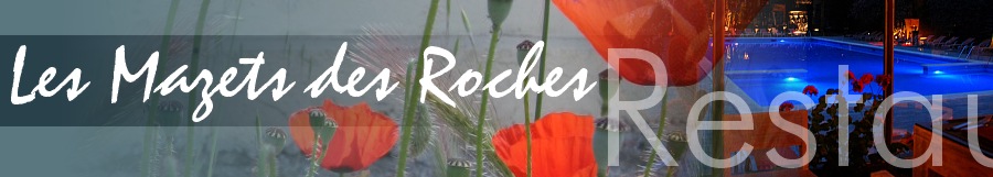 restaurant saint remy de provence